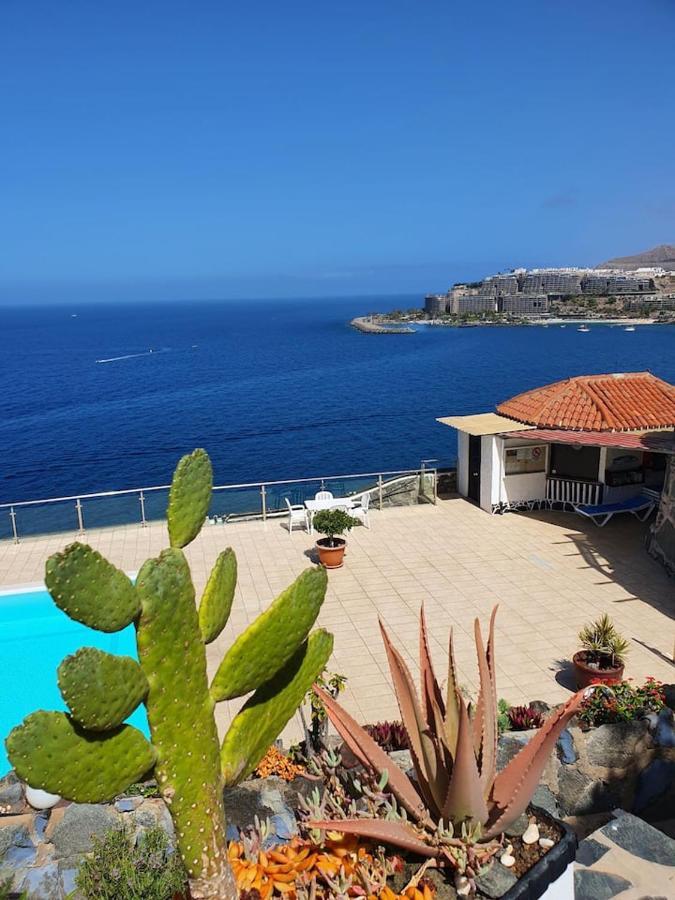 Very Romantic Seaview Apartment Patalavaca Mogan With Warm Pool Εξωτερικό φωτογραφία